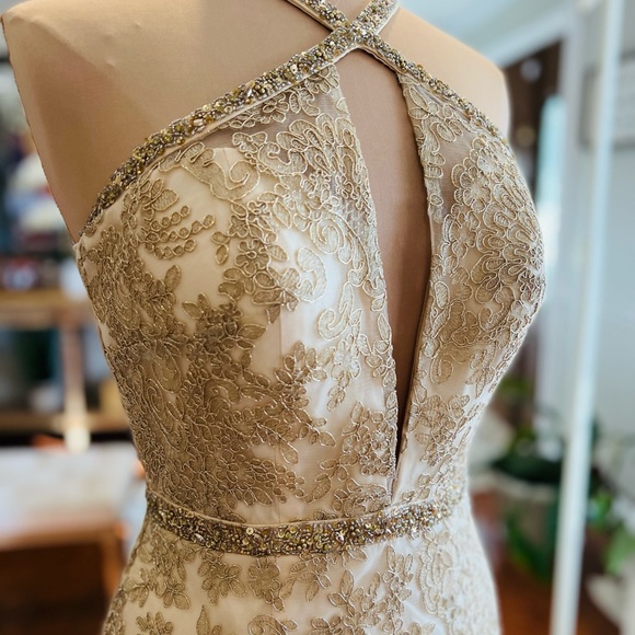 Exquisite Gold embroidered lace gown with dazzling beaded neckline and waistband - Picture 11 of 17